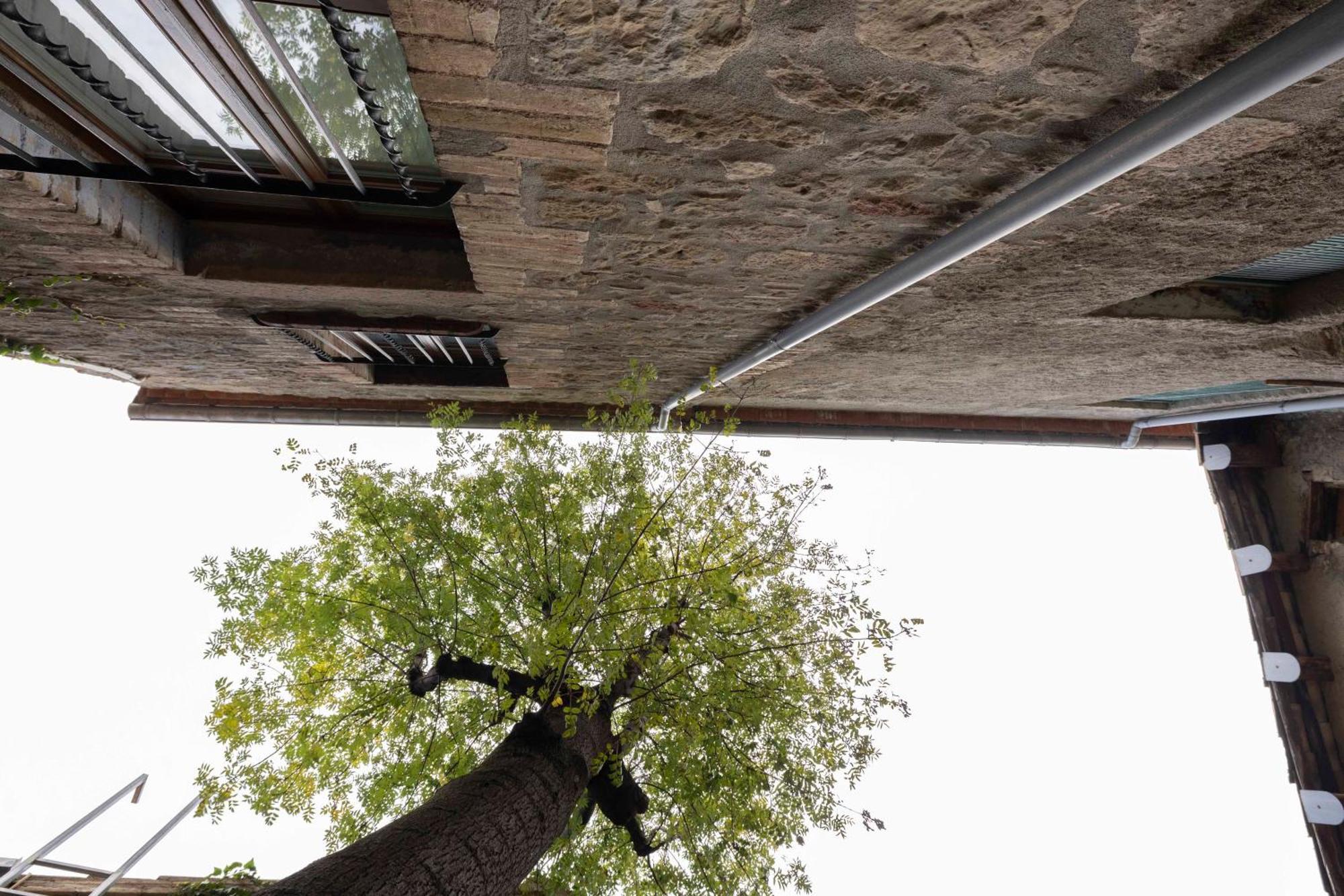 Hotel La Freixera Solsona Kültér fotó
