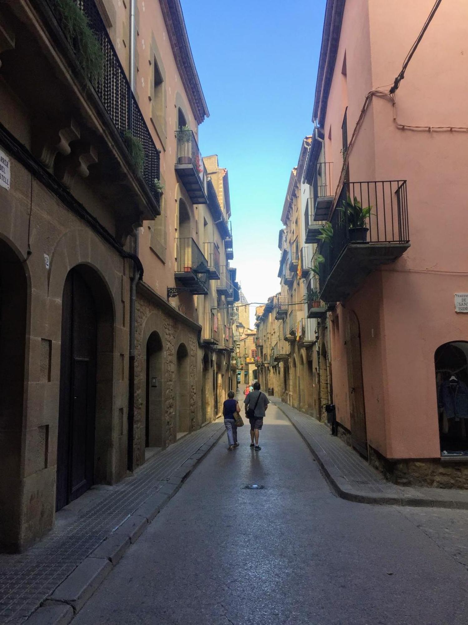 Hotel La Freixera Solsona Kültér fotó